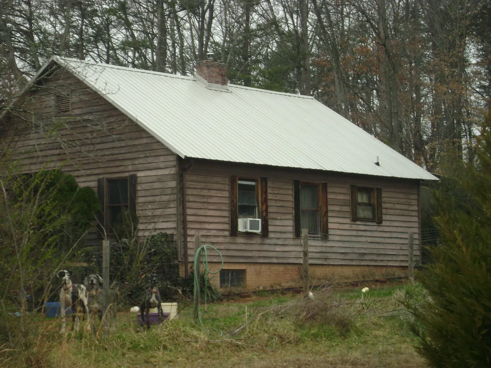 White metal roof on an old wood sided farmhouse, from a Asphalt Shingle Roof Repair job in South Plymouth